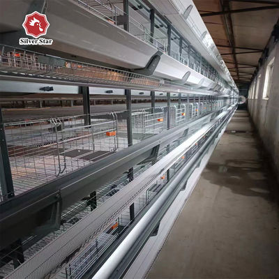 Automatic Poultry Farm Equipment High-Density H-Type Layer Battery Chicken Cage System for Egg Production Farm