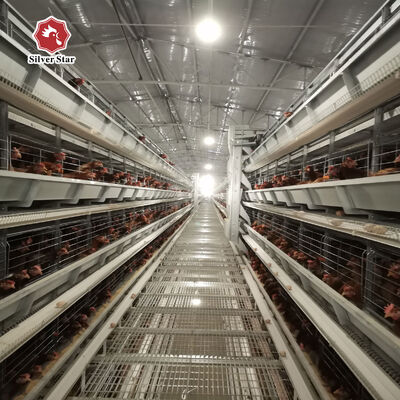 Куриная клетка типа H с 20-летним сроком службы для 54-216 кур в 3-8 уровнях