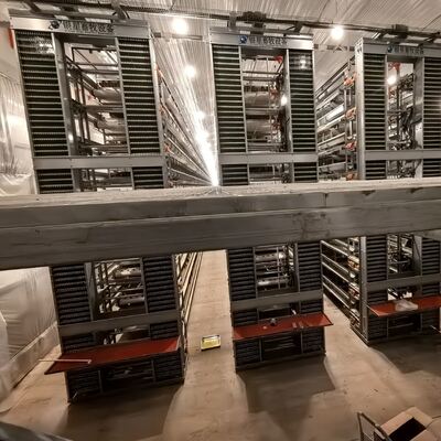 Тяжелая куриная клетка с батареей, предназначенная для оптимизации производства яиц и улучшения здоровья птицы на коммерческих фермах