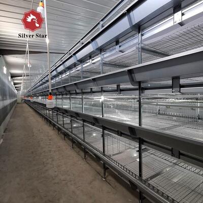 Turnkey H-Type Layer Battery Cage System for 50,000+ Birds with Hot-Dip Galvanized Steel and Full Automation