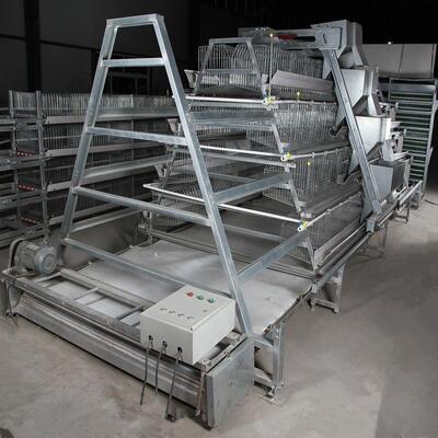 Hot-Dip Galvanized A-Type Layer Battery Cage System with Automatic Egg Collecting and 20 Years Service Life