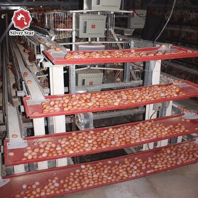 Fully Automatic Hot Galvanized 160 Birds Battery Chicken Cage Layer Chicken Cage Poultry Equipment
