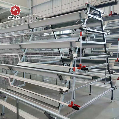Best A Type Layer Chicken Cage Manufacturer One-Stop Poultry Farm Solution