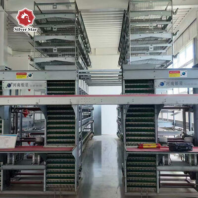 Система автоматической батарейной клетки H-Type с горячим оцинкованным сталью для автоматического сбора яиц и 15-20 лет службы