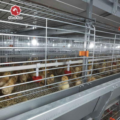 Poultry Agricultural Products Chicken Layer Cage For Broilers And Chicks