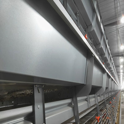 Fully Automatic H Type Broiler Chicken Cage with High Density Breeding & Hot Dip Galvanized for Commercial Poultry Farms