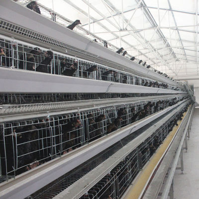 Hot-Dip Galvanized H-Type Layer Cage System Fully Automatic Poultry Farming Equipment with 15–20 Year Lifespan
