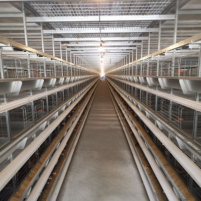 U Type Q235 Metal Cage For Chickens , 3-8 Tiers H Type Poultry Chicken Cage