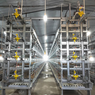Hot Galvanized Poultry Farm Laying Hens Equipment System Automatic Battery Layer Chicken Cage