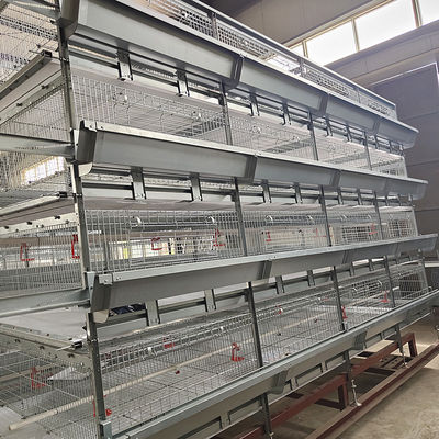 4 Doors q235 H Type Battery Broiler Equipment 3 Layers Poultry Shed