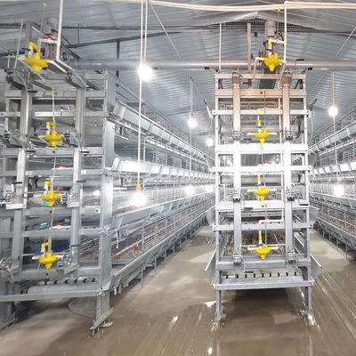 Hot Dip Galvanized Q235 Broiler Equipment 108 / 144birds Wire Chicken Cage