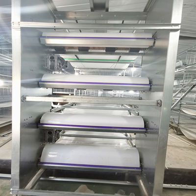 Multi Tier Poultry House Cleanout Equipment , 1.2mm 220v Battery Cage System
