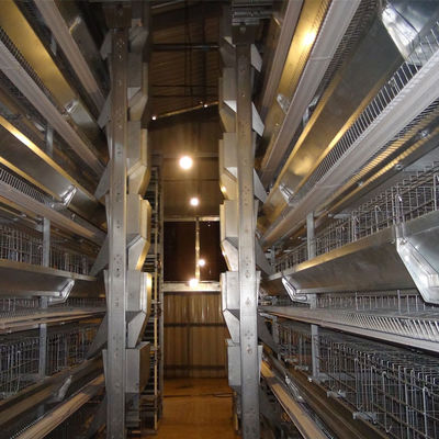Fully Automatic H-Type Broiler Battery Cage System with Hot-Dip Galvanized Frame for High-Density Commercial Meat Chicken Farms