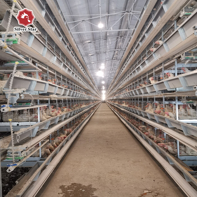 SGS H Frame 30000 Birds Ready To Lay Chicken Cage 650mm Length